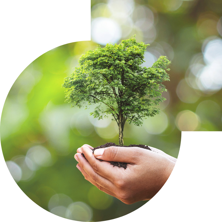 關懷人類、文化、環境與社會